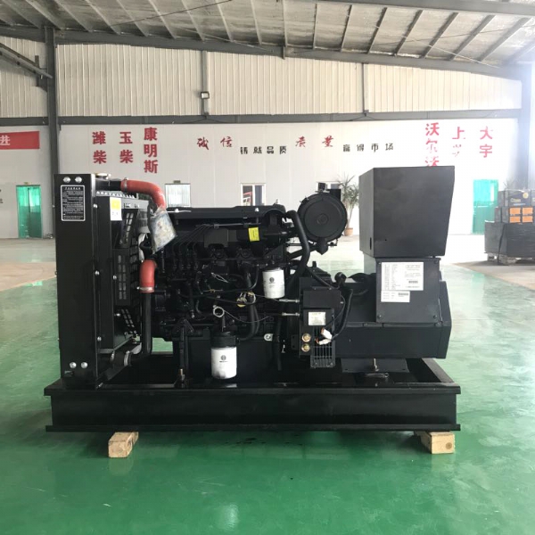 潍柴股份40kw (2)